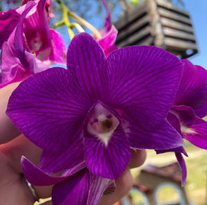 Meet your Posher, Tylee